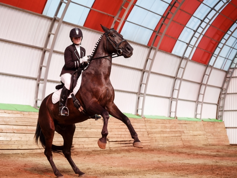 Reitlehrerin unterrichtet auf dem Reitplatz