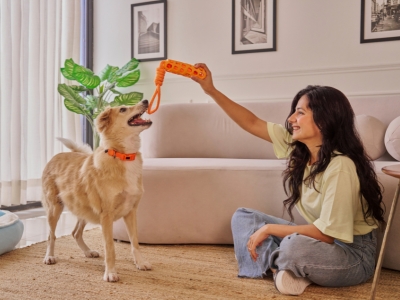 Person betreut Katze